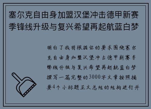 塞尔克自由身加盟汉堡冲击德甲新赛季锋线升级与复兴希望再起航蓝白梦